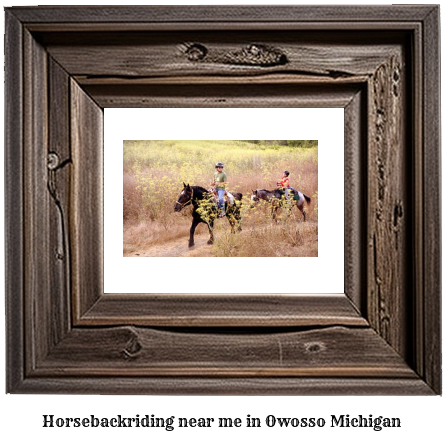 horseback riding near me in Owosso, Michigan